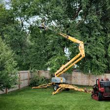 Lawn Maintenance Plans in Rio Vista, CA